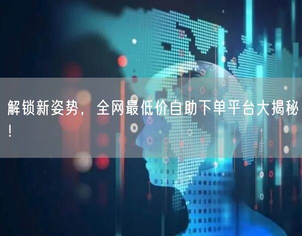 解锁新姿势,全网最低价自助下单平台大揭秘!