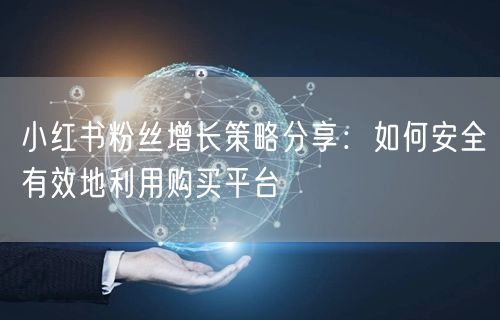 小红书粉丝增长策略分享：如何安全有效地利用购买平台