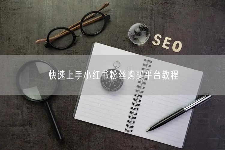 快速上手小红书粉丝购买平台教程
