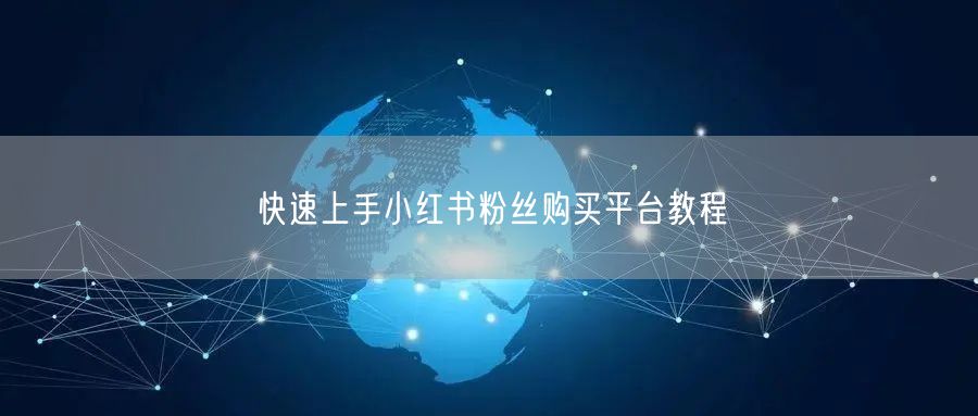 快速上手小红书粉丝购买平台教程