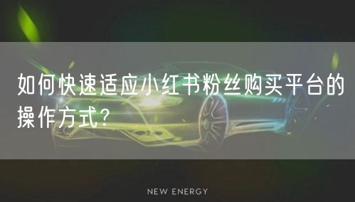 如何快速适应小红书粉丝购买平台的操作方式？