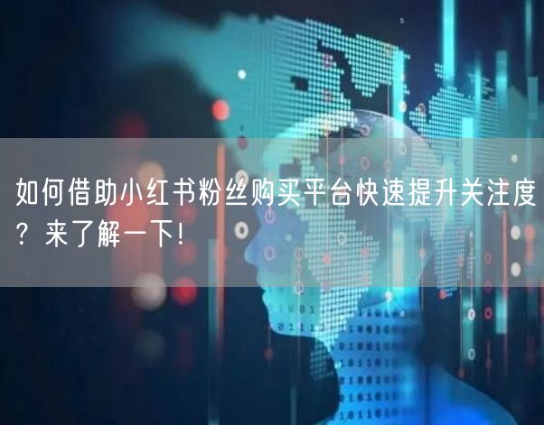 如何借助小红书粉丝购买平台快速提升关注度？来了解一下！