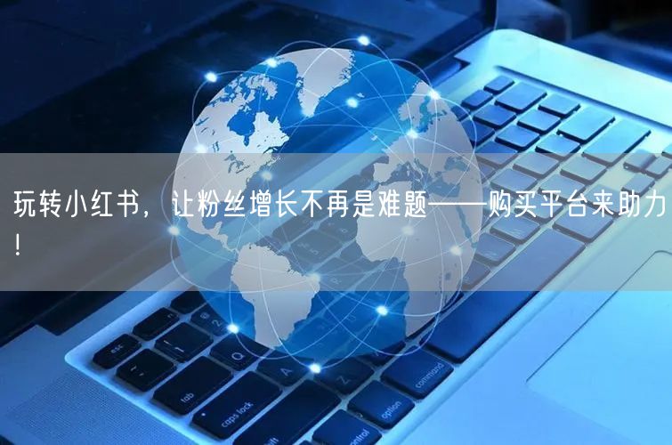 玩转小红书，让粉丝增长不再是难题——购买平台来助力！