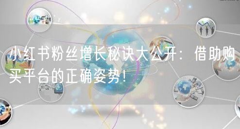 小红书粉丝增长秘诀大公开：借助购买平台的正确姿势！