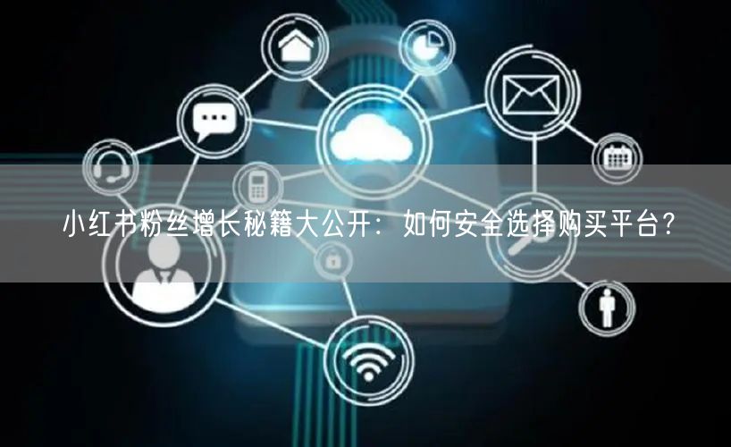 小红书粉丝增长秘籍大公开：如何安全选择购买平台？