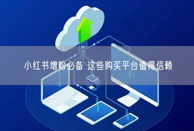 小红书增粉必备 这些购买平台值得信赖