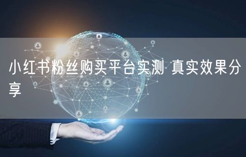 小红书粉丝购买平台实测 真实效果分享