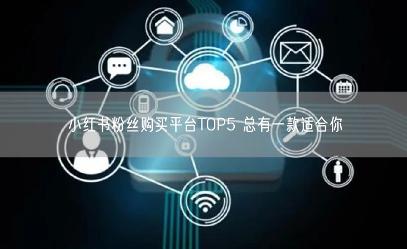 小红书粉丝购买平台TOP5 总有一款适合你