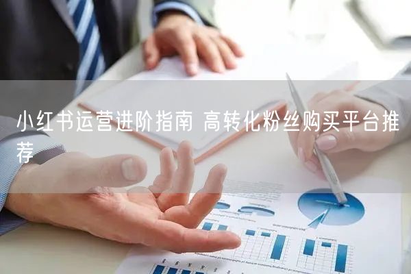 小红书运营进阶指南 高转化粉丝购买平台推荐