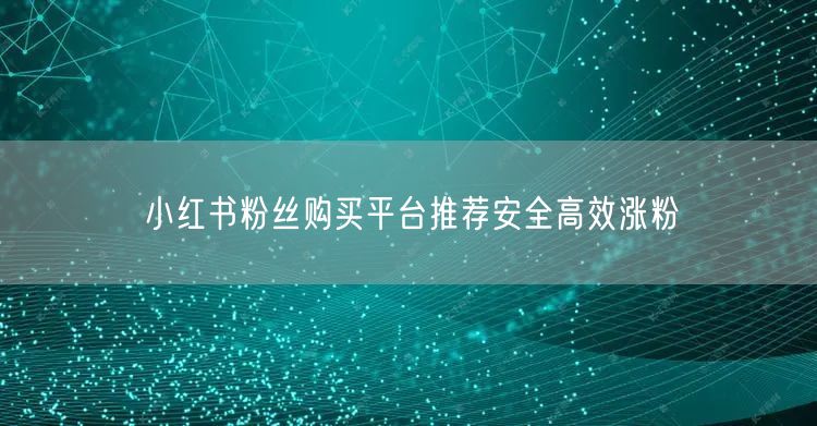 小红书粉丝购买平台推荐安全高效涨粉